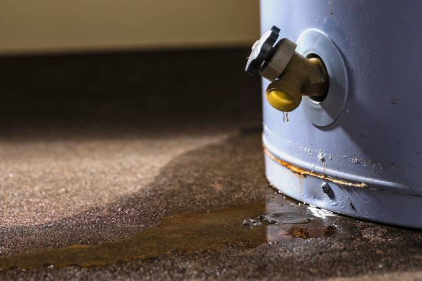 Best Water damage cleanup near me  in Visalia, CA