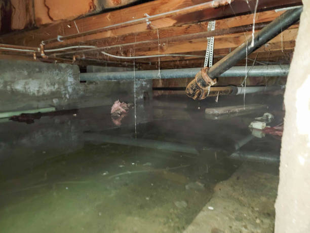 Best Emergency water damage restoration  in Visalia, CA