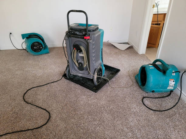 Best Water damage restoration insurance claims  in Visalia, CA