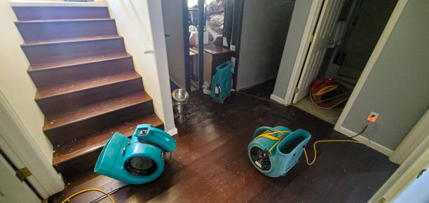 Best Mold removal after water damage  in Visalia, CA