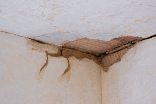 Best Water damage restoration near me  in Visalia, CA