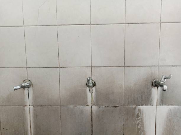 Best 24/7 water damage repair  in Visalia, CA