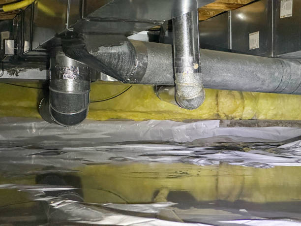 Best Water damage contractors near me  in Visalia, CA